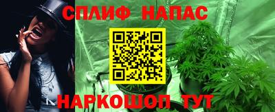 прущие грибы Кудрово