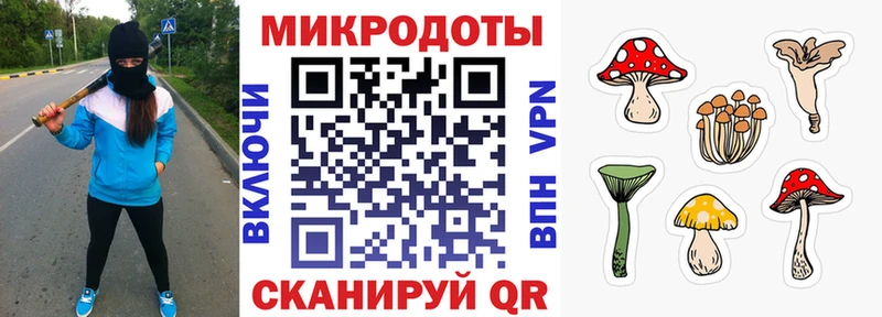 Галлюциногенные грибы Psilocybine cubensis  Владикавказ 